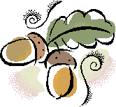 Acorn