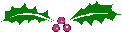 Holly Leaves