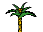 Palm Tree